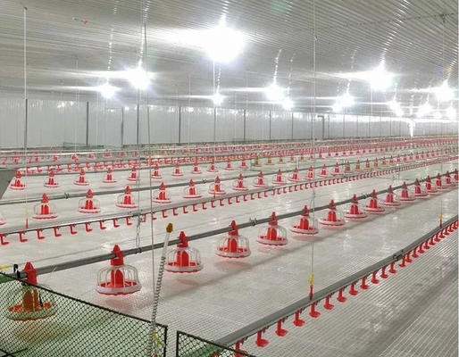 Chicken Farm Chain Automatic Pan Feeding System 1 Phase