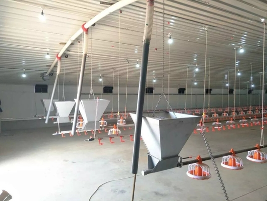 Chicken Farm Chain Automatic Pan Feeding System 1 Phase