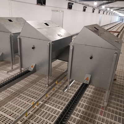 Chicken House Commercial Poultry Equipment Ground Breeding Breeder System For Broiler