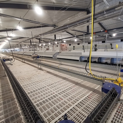 Chicken House Commercial Poultry Equipment Ground Breeding Breeder System For Broiler