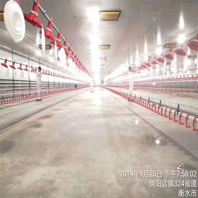 Automatic Duck Steel 12mm Poultry Farm House