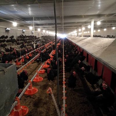 PVC Poultry Farm Equipment