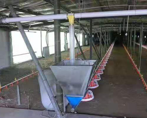 1.5L 3L Plastic Automatic Water Feeder For Chickens