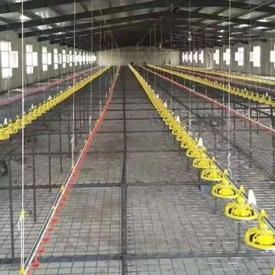 12 Birds 60HZ Poultry Farm Feeding System