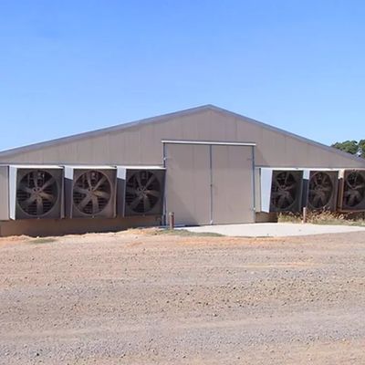 Automatic Chicken House Broiler Poultry Farm Equipment