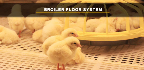 220v Electricity Hen Farm House Broiler Poultry Equipment