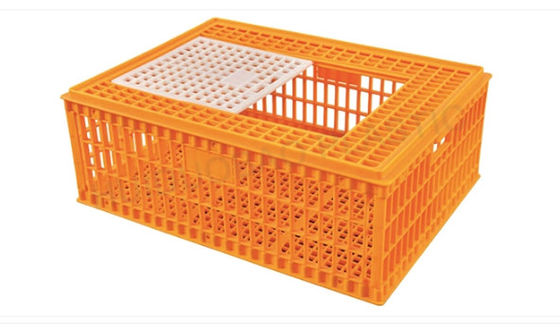 98cm Plastic Chicken Transport Box