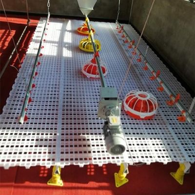 25*20mm Slat Flooring For Poultry