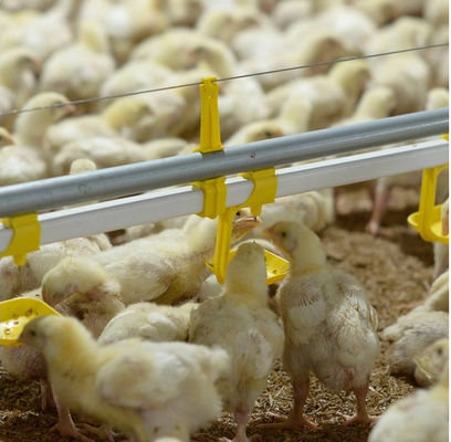 100mm Chicken Nipple Drinker System