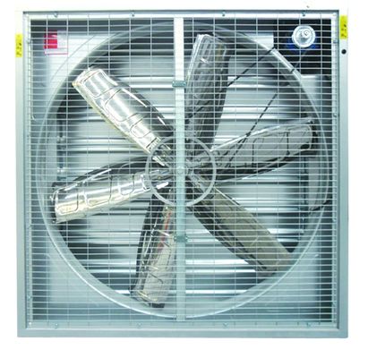 Chicken Broilers Layers 380V Ventilation Fan System