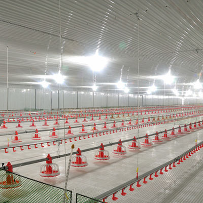 Farm Closed House Ground Plastic Slats For Poultry