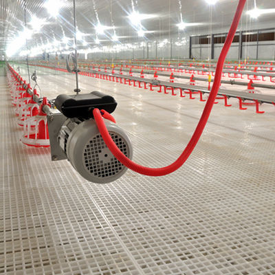 Farm Closed House Ground Plastic Slats For Poultry