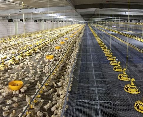150m Grow Room Environment Controller