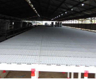 Automatic Broiler Slatted Grating Mesh Poultry Slat Flooring