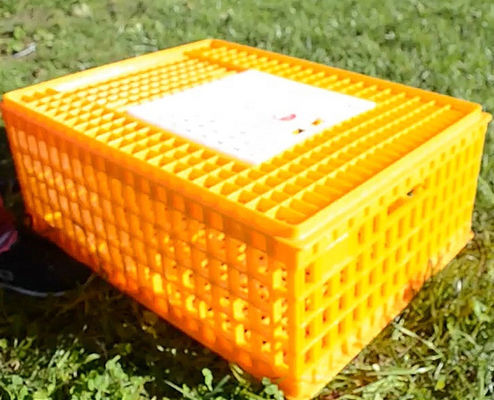 Live 12.25 Inch PE Duck Transport Crates For Chickens