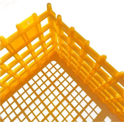 Live 12.25 Inch PE Duck Transport Crates For Chickens