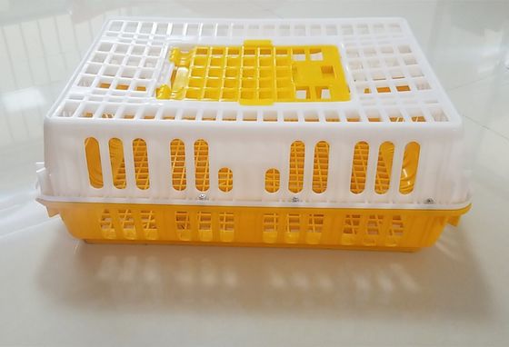 PE 28.5cm Height 14 Chicken 50kgs Plastic Poultry Crate