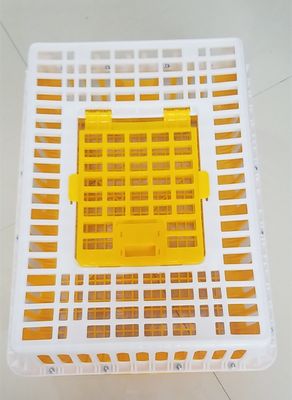 PE 28.5cm Height 14 Chicken 50kgs Plastic Poultry Crate
