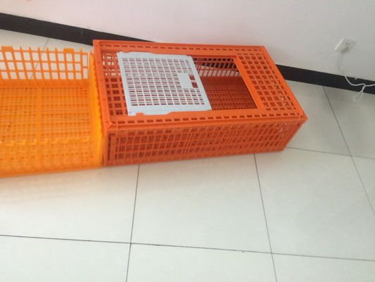 Commercial Farm Polypropylene Chicken Transport Cages