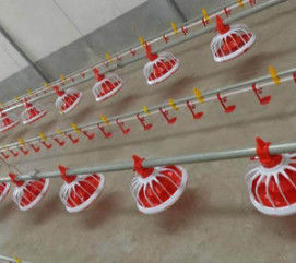 Automatic Complete Broiler Pan Feeding System