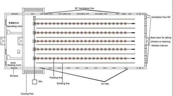 Automatic Complete Broiler Pan Feeding System
