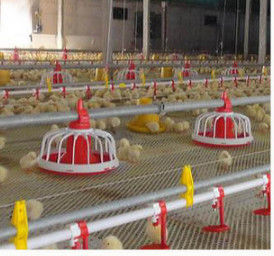 ABS Complete Auto 20kg Poultry House Equipment