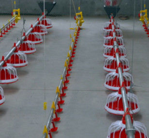 ABS Complete Auto 20kg Poultry House Equipment