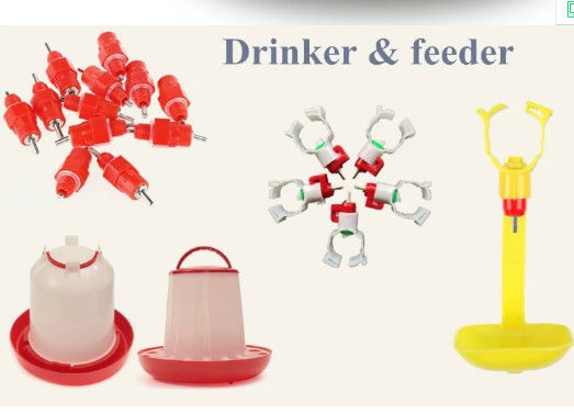 360 Degree Automatic Chicken Drinkers And Feeders For Birds