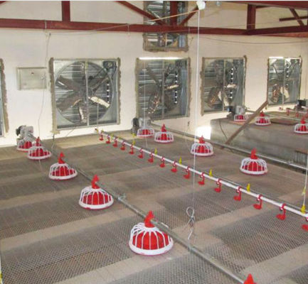 Drip Cup 4mm Automatic Drinking System For Poultry House Accessories