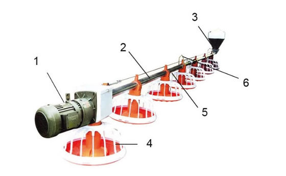 Poultry Automatic Broiler Feeding System For Floor Chicken House