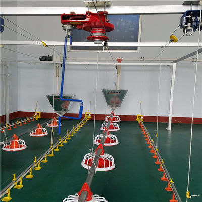 Broiler Poultry Feeding Equipment For Chicken House