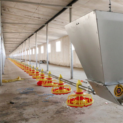 Broiler Poultry Feeding Equipment For Chicken House