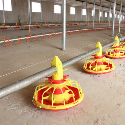 Broiler Poultry Feeding Equipment For Chicken House