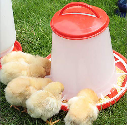 Poultry Pan Bucket 3kg 6kg Plastic Chicken Feeder For Water Drinker