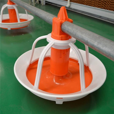 Automatic 75-100cm Poultry Pan Feeding System For Ducks Drinker