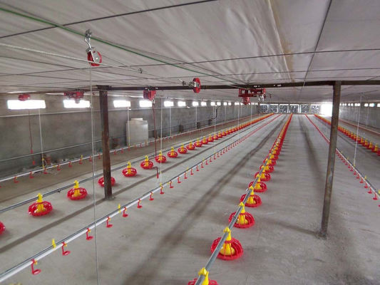 Poultry Farm Automatic Pan Feeding System Floor Raising For Chicken Broiler Breeder