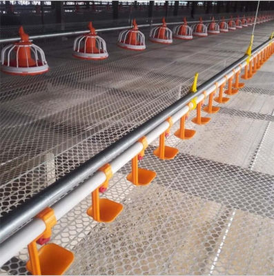 Poultry Farm Automatic Pan Feeding System Floor Raising For Chicken Broiler Breeder