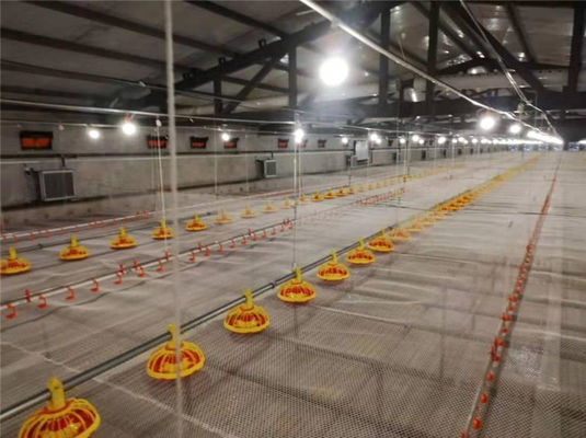Poultry Farm Automatic Pan Feeding System Floor Raising For Chicken Broiler Breeder