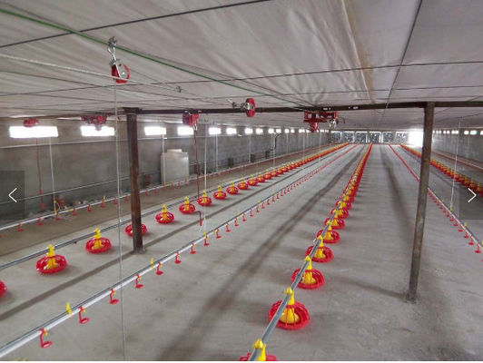 Automatic Stainless And Polypropylene 360mm Broilers Feeding System