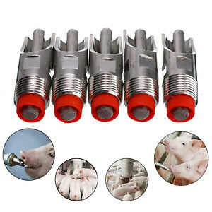 Anticorrosion Automatic Nipple Drinker Livestock For Pig Thickening Waterer