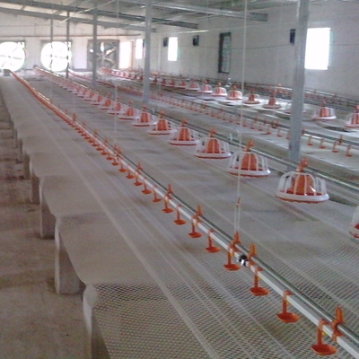 Motor Engine Automatic Pan Feeding System For Chicken Broiler Poultry