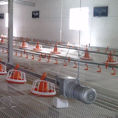 Motor Engine Automatic Pan Feeding System For Chicken Broiler Poultry