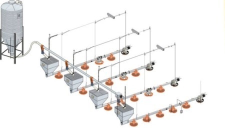 Drinking Automatic Chicken Feeding System For Chicken Poultry Farming Equipment