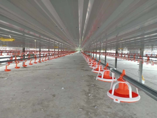 Drinking Automatic Chicken Feeding System For Chicken Poultry Farming Equipment