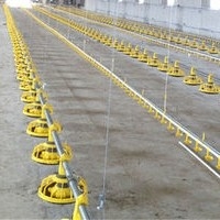 Chicken Drinking Automatic Pan Feeding System For Poultry Farming Equipment Machine