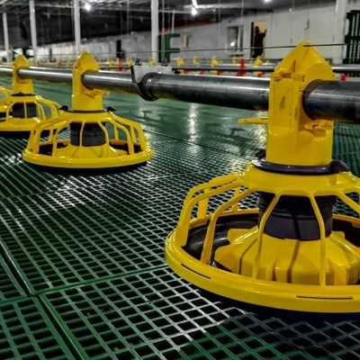 Chicken Drinking Automatic Pan Feeding System For Poultry Farming Equipment Machine