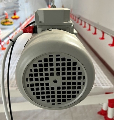 0.75 Kw Italy Gear Motor For Feeding Line Poultry Farm System