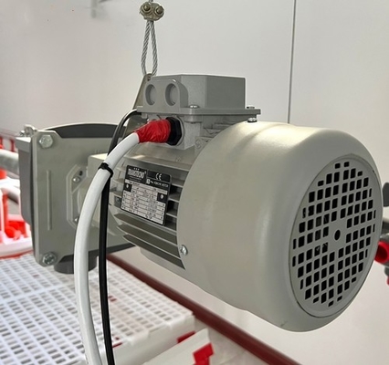 0.75 Kw Italy Gear Motor For Feeding Line Poultry Farm System