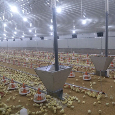Prefab Chicken House Poultry Feeder And Drinker For Broiler