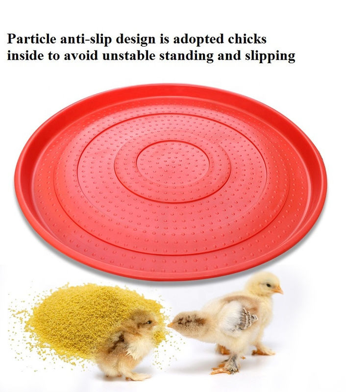PP Poultry Feeder Drinker 41mm 35mm Hen Feeding Tray